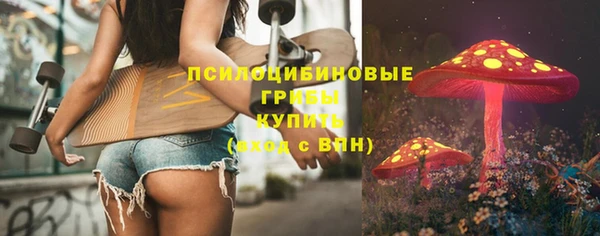 apvp Корсаков